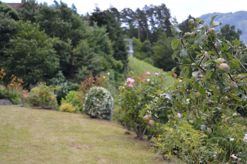 Jaeger Guesthouse อันเนนไฮม์ ภายนอก รูปภาพ
